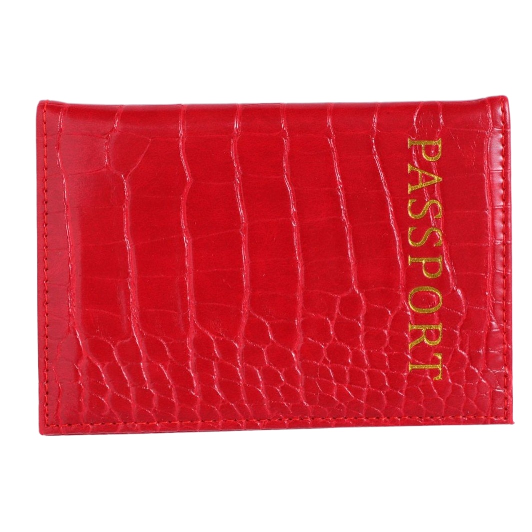Porta Pasaportes con Diseño de - Travel Accessories Plane reseña y precio